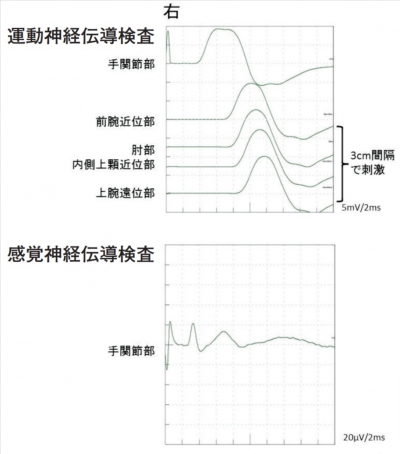 医師国家試験 - 過去問チャート