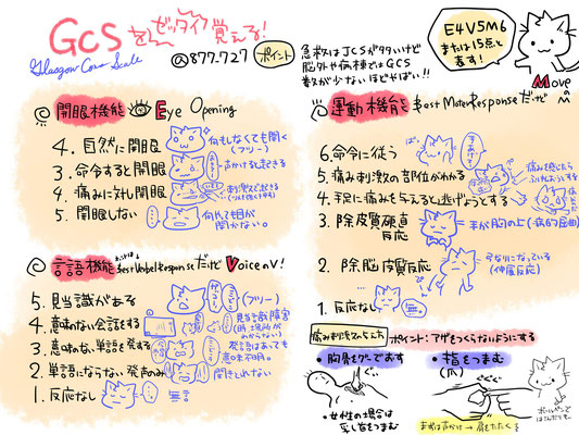 医師国家試験 過去問チャート